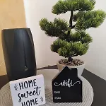Wilma House בית נופש