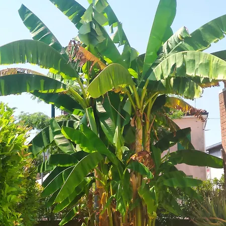 Hébergement de vacances Wilma House *