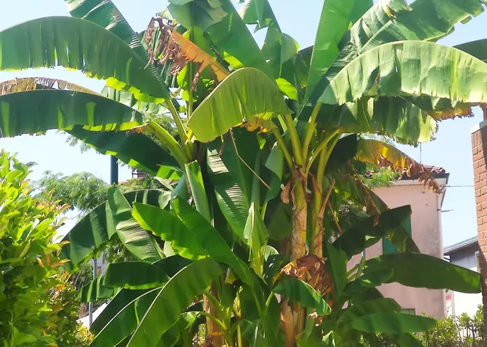 Prázdninový dům Wilma House *